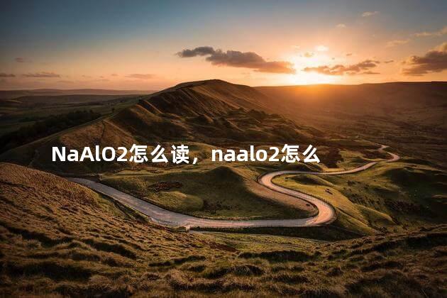 NaAlO2怎么读，naalo2怎么读可溶吗