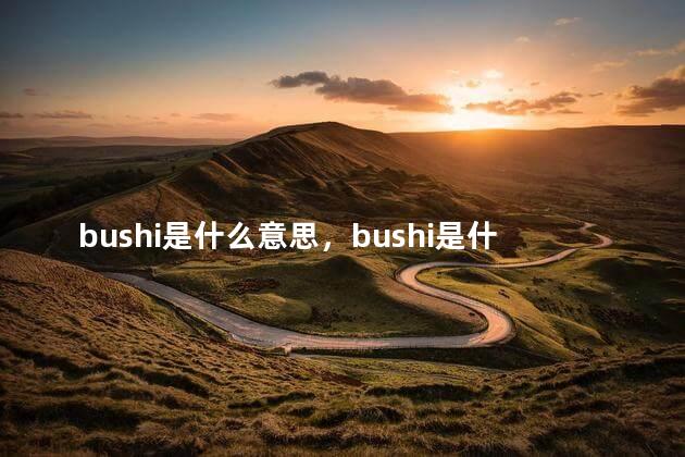 bushi是什么意思，bushi是什么意思中文翻译