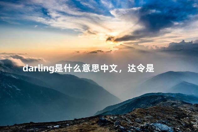 darling是什么意思中文，达令是什么意思