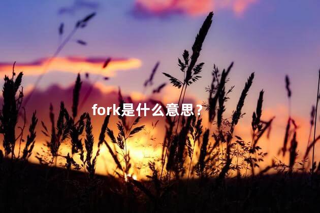 fork是什么意思？