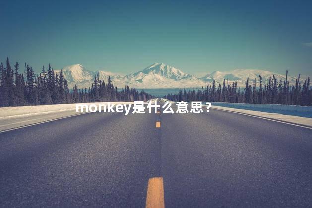 monkey是什么意思？