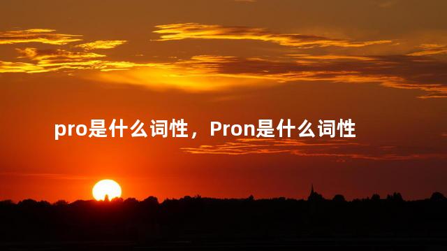 pro是什么词性，Pron是什么词性的词
