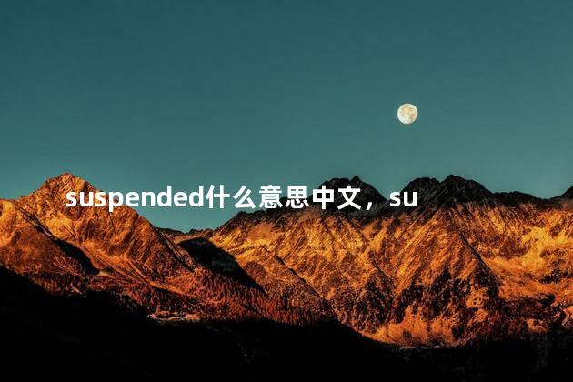 suspended什么意思中文，suspend什么意思啊