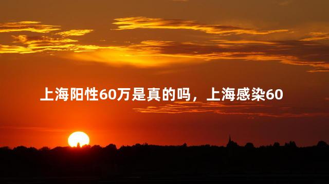 上海阳性60万是真的吗，上海感染60万死了多少人