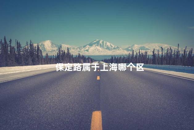 保定路属于上海哪个区