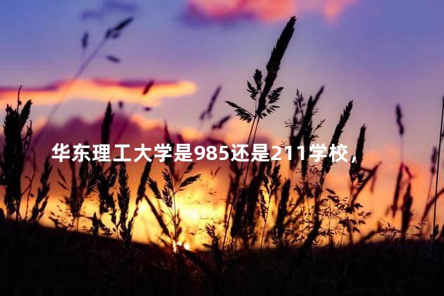 华东理工大学是985还是211学校，上海大学是985还是211