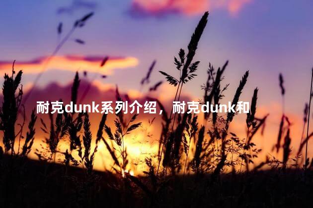 耐克dunk系列介绍，耐克dunk和aj区别