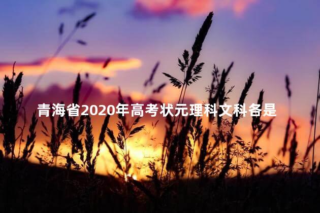 青海省2020年高考状元理科文科各是多少分，2021年青海省高考状元多少分